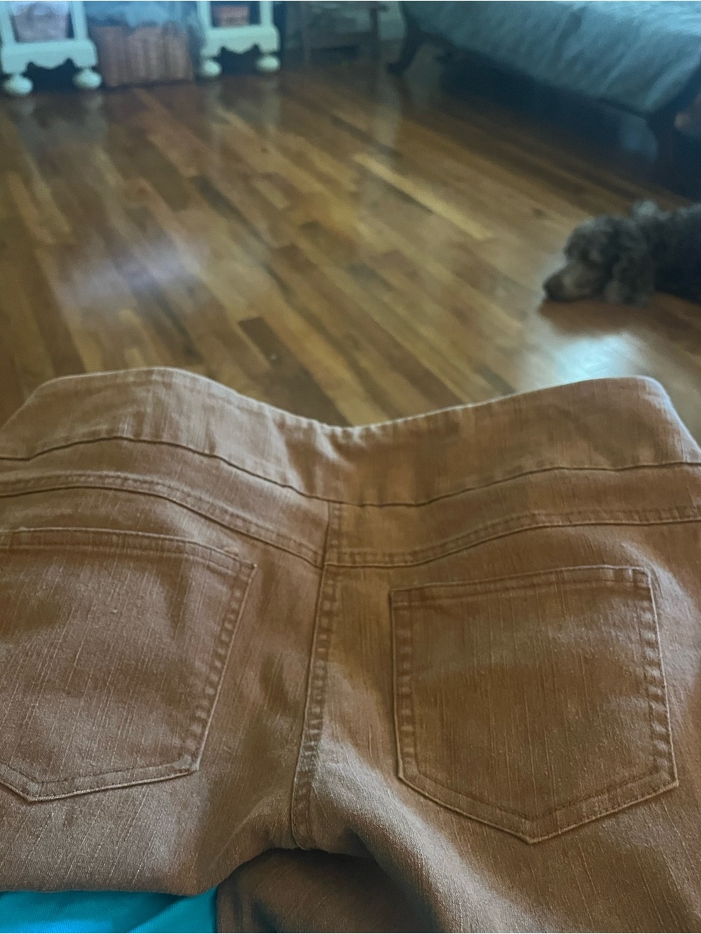 Ruby Rd. Brown Straight-Leg Pull-On Pants - Picture 3 of 4